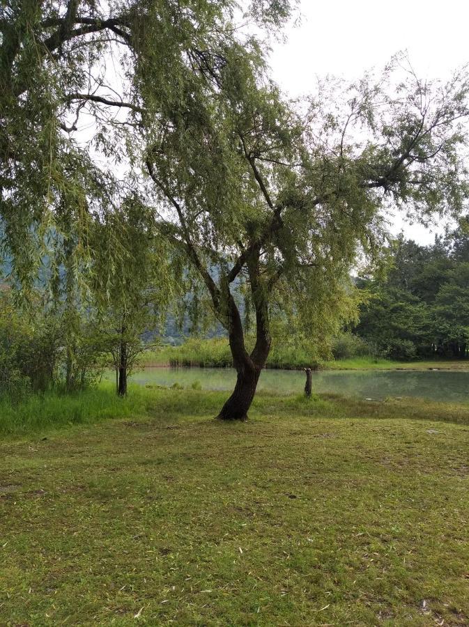 Appartamento Tra la Stazione e il Lago Verbania Esterno foto