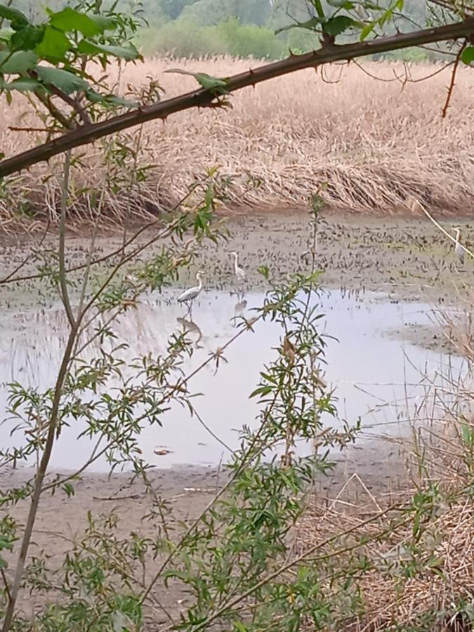 Appartamento Tra la Stazione e il Lago Verbania Esterno foto